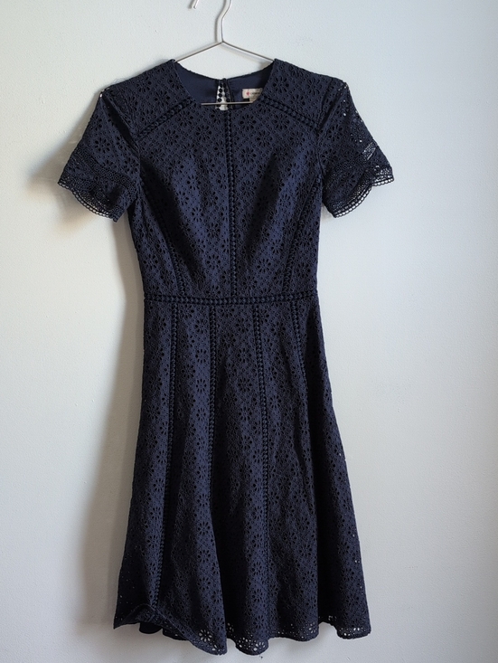 Daniel Cremieux Dresses & Skirts - Daniel Cremieux Navy Eyelet Lace Fit-and-Flare Dress